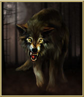 Wolf.jpg