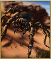 Taverna_tarantula.jpg