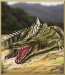 Aukce_Nile_Crocodile.jpg