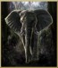 Arena_Elephant.jpg