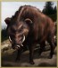 Arena_Wild_Pig.jpg