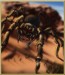 Arena_boss_Poison_Hooded_Tickspider.jpg